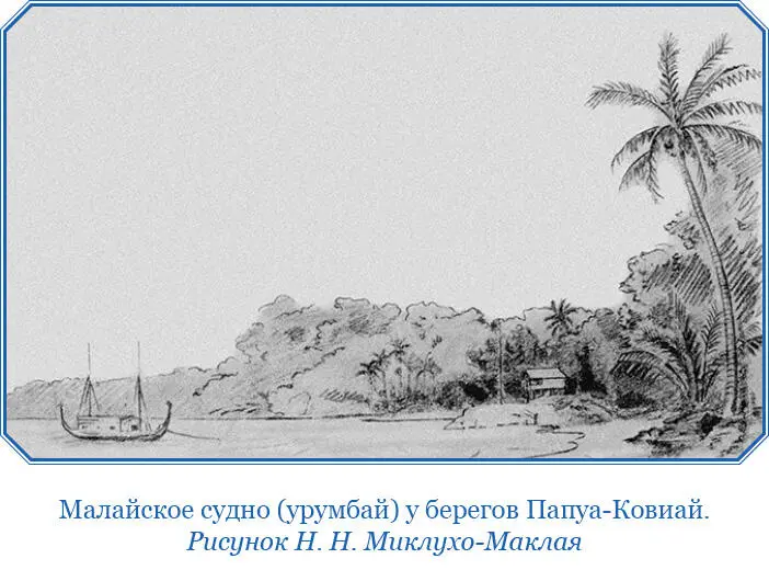 Но при всей обширности поля исследования несмотря на все мое старание не - фото 94