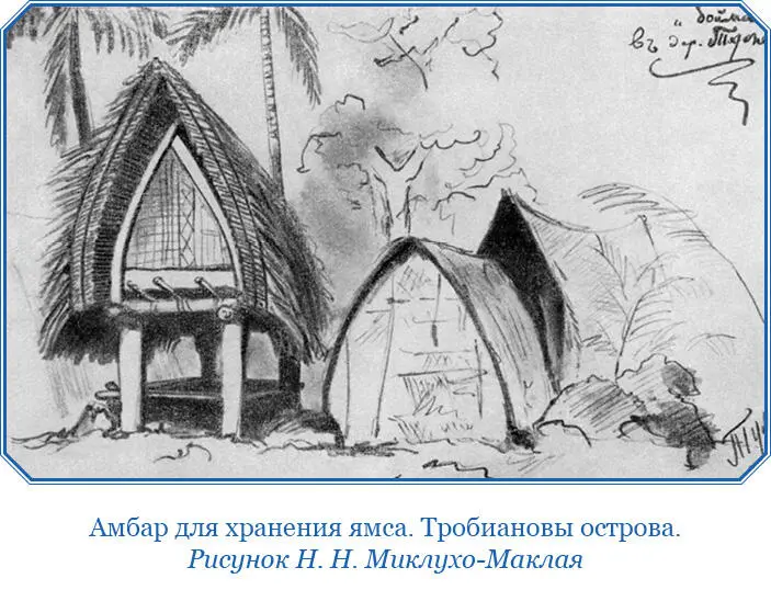В августе 1874 г вернувшись с берега ПапуаКовиай в Бюйтензорг и отдохнув там - фото 122