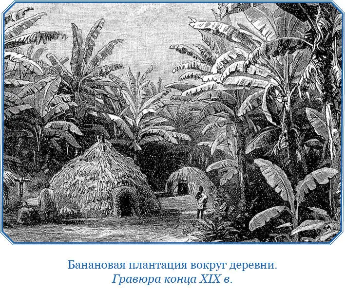 Сношения и обмен между деревнями Упапуасов берега Маклая нет ни торговли ни - фото 152