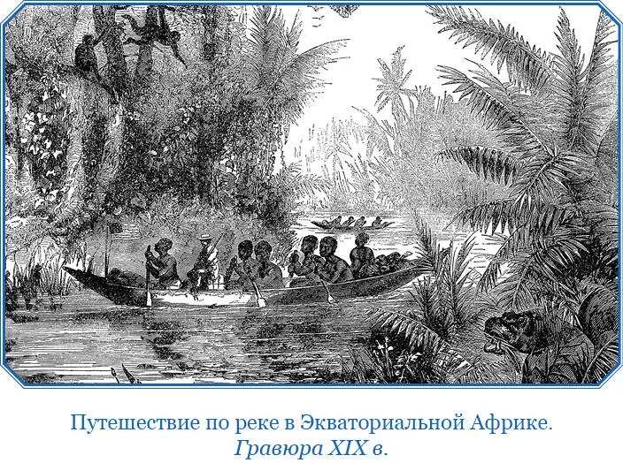 В африканской природе многое обладает такой же жизнеспособностью как и сами - фото 15