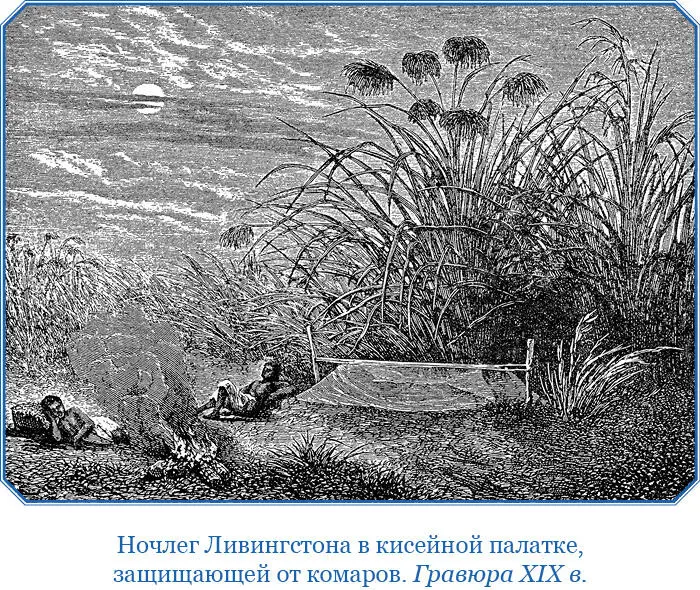 Глава 3 19 июня 1866 г Прошли мимо мертвой женщины привязанной за шею к - фото 17