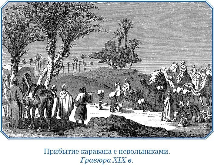 1 июля 1866 г По мере приближения к владениям Мтарики страна становится более - фото 20
