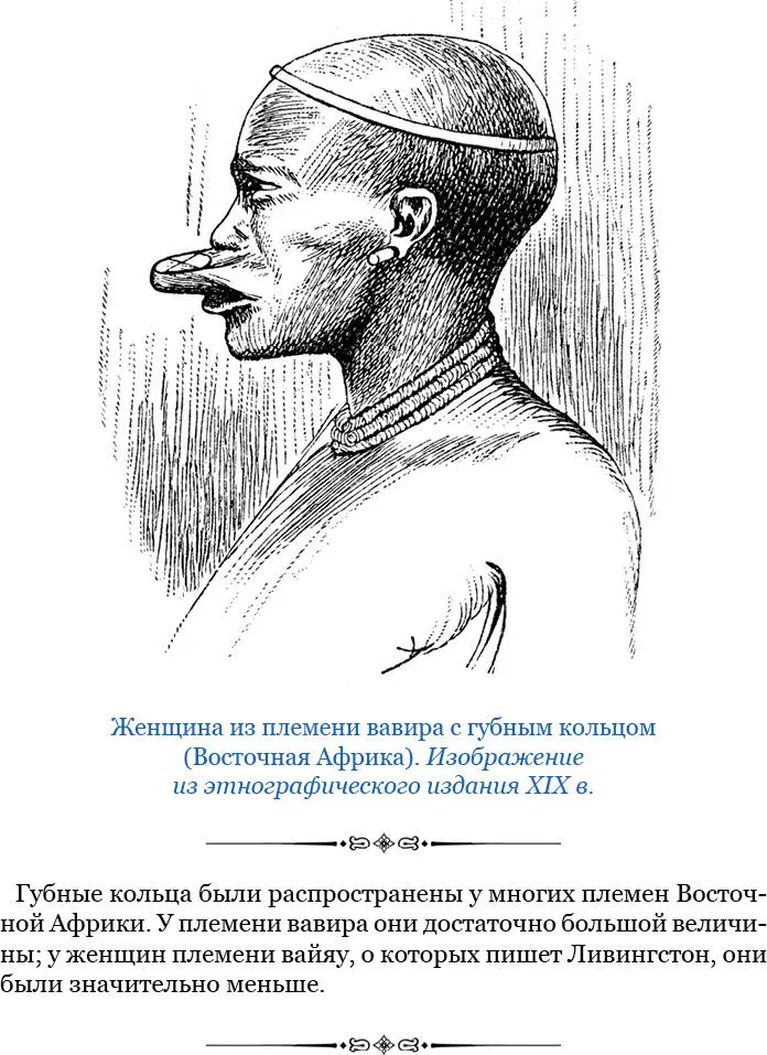 Эта область подымающаяся к западу от земель Матаки до высоты в 3400 футов над - фото 23