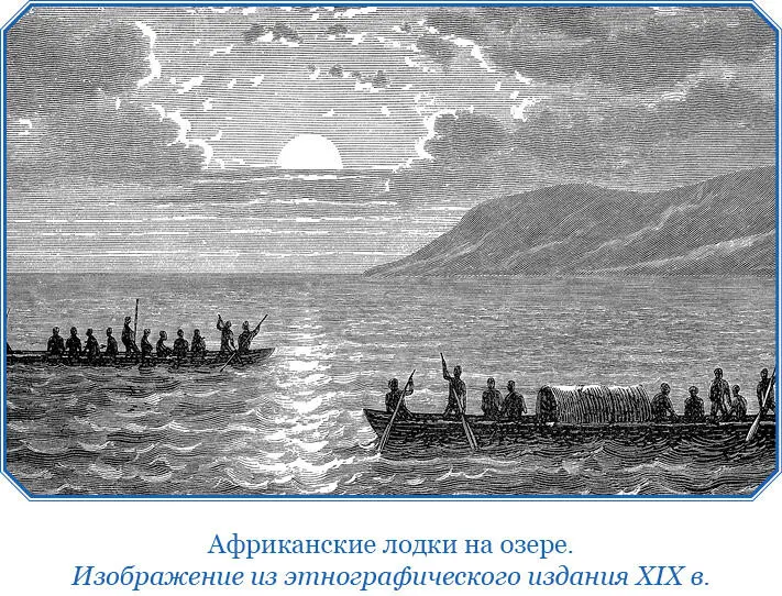 На одном из деревьев видел гнездо молотоглава высотой в целых четыре фута - фото 76