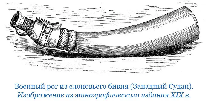 Глава 13 11 октября 1868 г К северу от Кизинги вся страна покрыта лесом На - фото 79