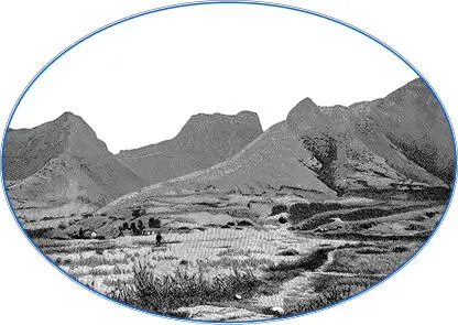 Глава III Горы отделяющие долины Арагуа от каракасских Llanos - фото 39