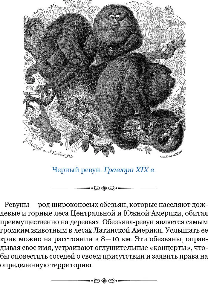 Здешняя местность представляет собой древний берег большой котловины степей и - фото 40