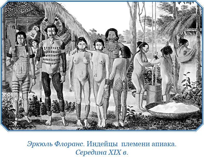 Берега Касикьяре украшает пальма Chiriva с перистыми снизу листьями Кроме нее - фото 86