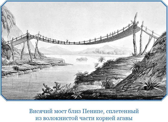 Выше устья Маваки ширина и глубина Ориноко резко уменьшаются Он становится - фото 91