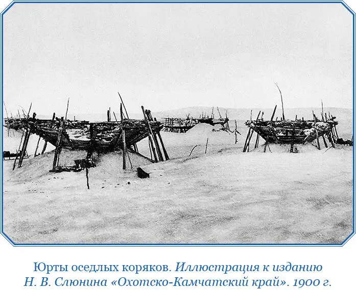 Оленные кормяки всех их называют своими холопами а особливо олюторов ибо - фото 125