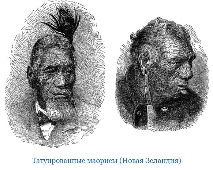 Удивительно что у столь воинственных людей какими несомненно являются - фото 83