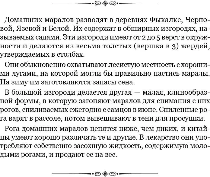 На маралов они охотятся в марте по насту когда снег с поверхности оледенеет и - фото 41