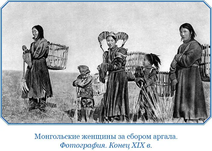 Монгольские вьючные седла для верблюдов хоманы очень удобны равно как и - фото 56