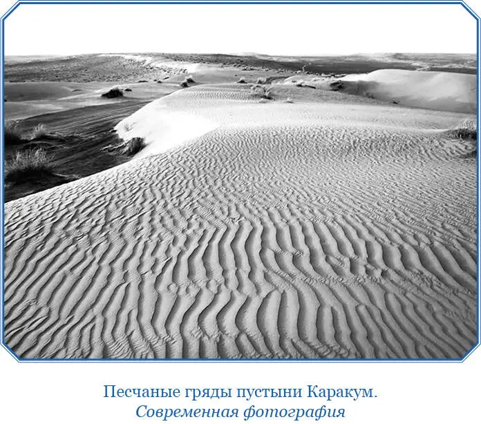 Судя по рассказам туземцев и отчасти по нашим собственным наблюдениям эта - фото 143