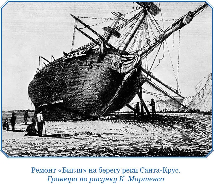 Сцена достойна разыгравшихся на ней событий Волнистая поверхность унылого и - фото 63