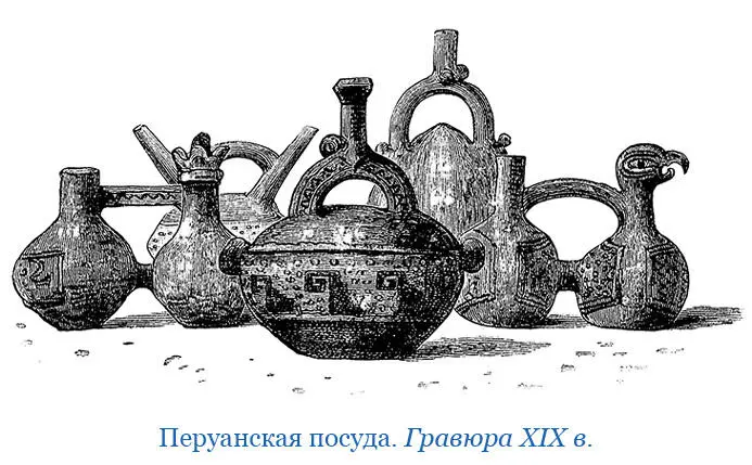 Климат южной части Америки повидимому особенно благоприятствует образованию - фото 90
