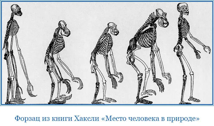 9 мая Мы отплыли из ПортЛуи и зайдя по пути на Мыс Доброй Надежды 8 июля - фото 135