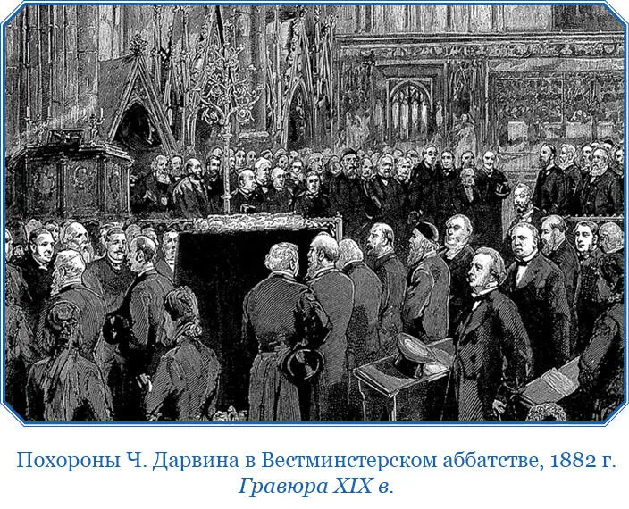 В последний день августа мы во второй раз бросили якорь в ПортоПрае на - фото 139