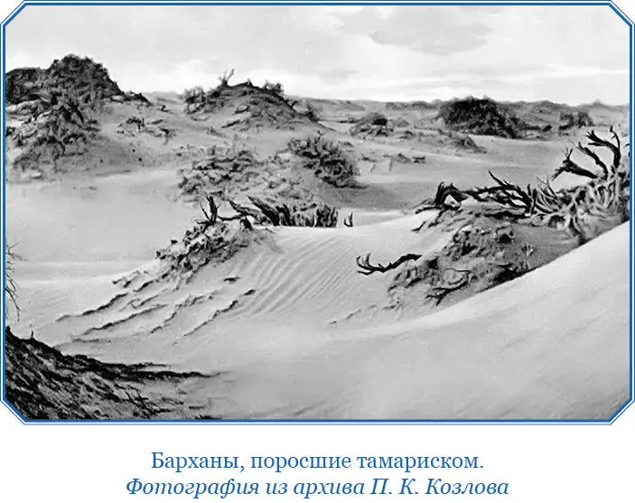 Урочище Торойонцэ где нам предстояло прожить некоторое время расположено на - фото 47