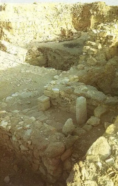 Святилище обнаруженное в Араде Литературная модель Скинии была - фото 25