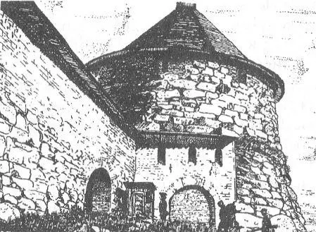 Соловки Рисунок В В Курочкина Ему вторит и Вильгельм Канеп бывший - фото 13
