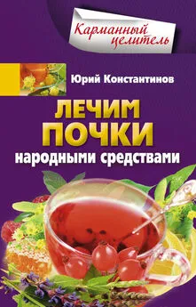 Юрий Константинов - Лечим почки народными средствами