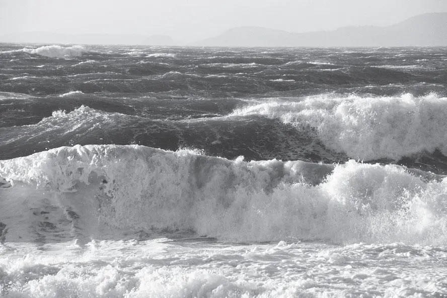 Вероятно первое что приходит на ум это назвать голосом моря его шум - фото 191