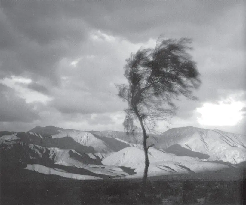 За изменениями погоды следят специальные службы которые называются - фото 90