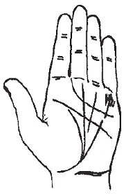 Рис 116Линия Меркурия с боковыми штрихами Рис 117Безымянный палец - фото 16