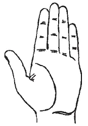 Рис 117Безымянный палец длиннее указательного Цель идеалистов слава - фото 17