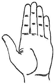 Рис 118Безымянный палец короче указательного Значение холмов руки Вы уже - фото 18