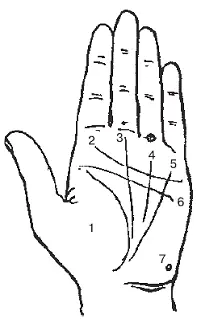 Рис 119Холмы ладони Рис 120Оккультное разделение ладони На основании - фото 19