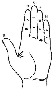 Рис 12Каждый палец подчинен определенной планете Длина пальцев в сравнении - фото 2