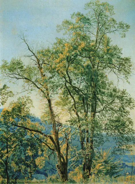 АЛЕКСАНДР ИВАНОВ Оливковое дерево Долина Ариччи 1842 Государственная - фото 176