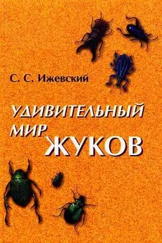 Сергей Ижевский - Удивительный мир жуков