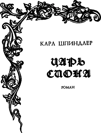 Книга первая Лейденский портной 15301532 Глава I Возвращение домой - фото 5