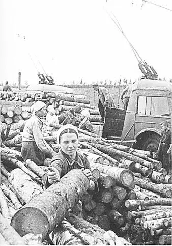 Погрузка дров в Московской области в 1943 г Для перевозки были приспособлены - фото 314