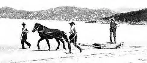 Остров Квэйл Новая Зеландия Др Маккей и мр Табмен объезжают лошадей и - фото 18
