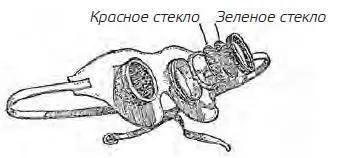 Снегозащитные очки Часть VIII Сборы Путь домой Каникулы в Полулунном заливе - фото 139