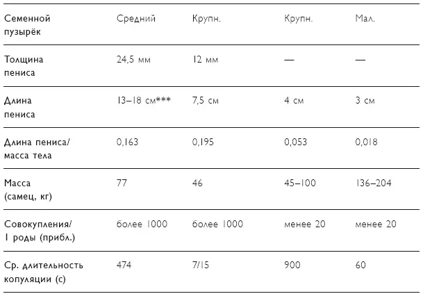 Трудно представить более конкурентное создание чем человеческий сперматозоид - фото 96