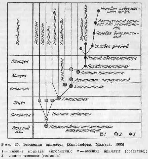 В конце раннего миоцена около 17 млн лет назад произошло установление - фото 40