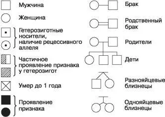 Рис 101 Стандартные символы принятые для составления родословных После - фото 120