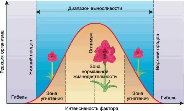 Рис 65 Действие экологического фактора на организм Для каждого вида - фото 67