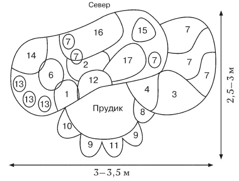 1 Очиток серебристый 2 Очиток краснолистный 3 Ирис карликовый желтый 4 Ирис - фото 34