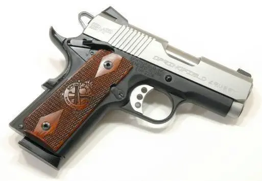 В середине 2006 года Springfield Armory анонсировала новую компактную модель на - фото 379