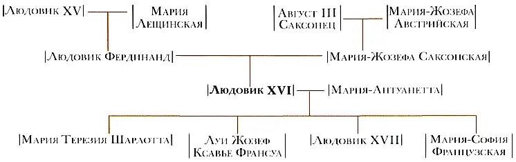 Людовик XVI родился 23 сентября 1754 года и был сыном Людовика Фердинанда - фото 35