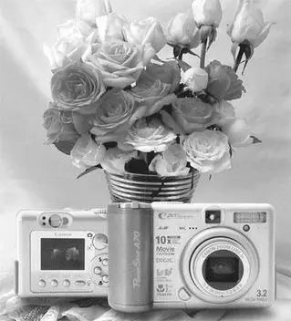 Рис 714Canon PowerShot A70 выглядит не хуже чем сделанные им цифровые - фото 162