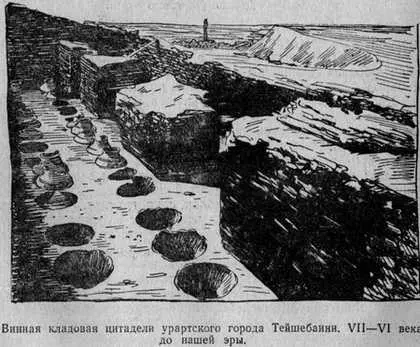 По найденным косточкам яблок слив граната арбуза мелкой вишни можно - фото 60