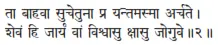 tā bāhavā sucetunā pra yantamasmā arcate ǀ śevaṁ hi jāryaṁ vāṁ viśvāsu kṣāsu - фото 107