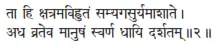 tā hi kṣatramavihrutaṁ samyagasuryamāśāte ǀ adha vrateva mānuṣaṁ svarṇa dhāyi - фото 120